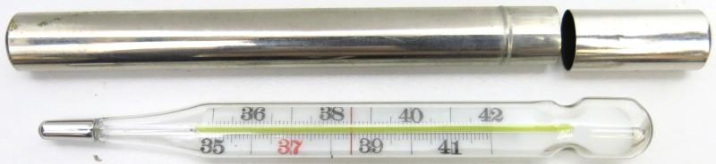 German Wehrmacht Veterinär Thermometer In Metal Transport Tube, Hard To Find Heeres - Hauptveterinärpark 1943.