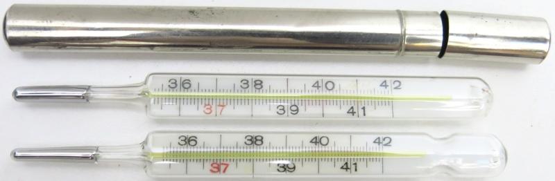 German Wehrmacht Or Heer Thermometer In Metal Transport Tube, Need To Choose One.