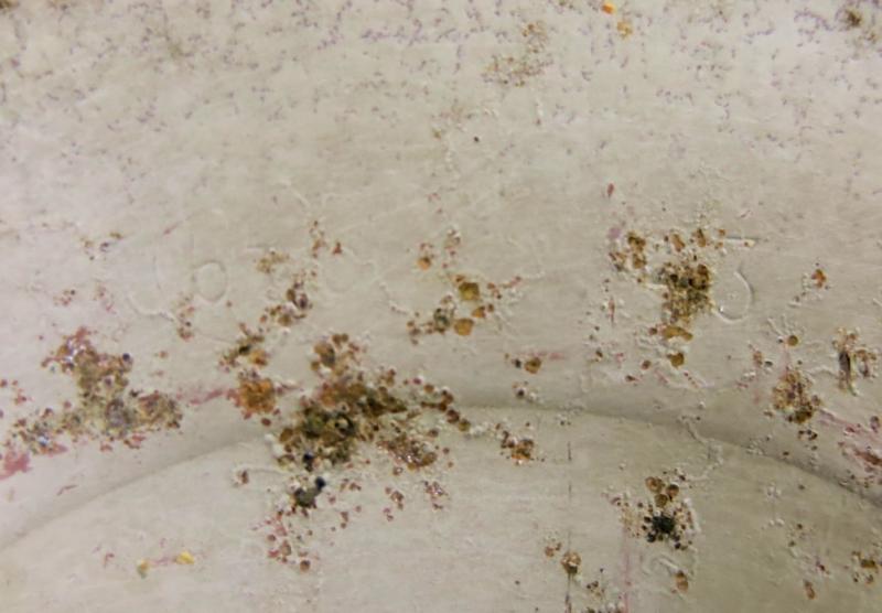 German Wehrmacht T. Mi. Pilz 43 Tellermine Pilz 43 Pressure Plate With Original Sand Colour btc 43, Barn Find, Inert.